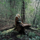 Image for article titled Violence Against Women Made Visual In Traveling Art Exhibition
